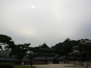 Changdeokgung Palace (73)