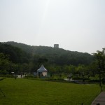 Dream Forest Seoul