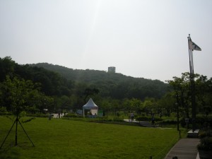 Dream Forest Seoul