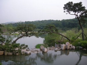 Dream Forest Seoul waterfall