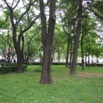 Jongmyo Park