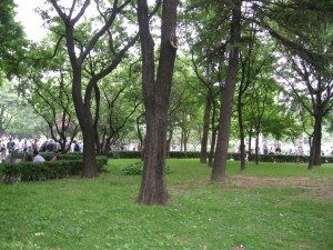 Jongmyo Park