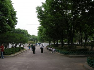 Jongmyo Park