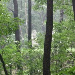 The Twin Tombs of Princess Uihye and Han Gyeong-rok