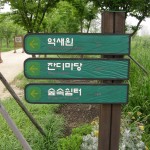 Seoul Iris Garden