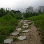 Seoul Iris Garden