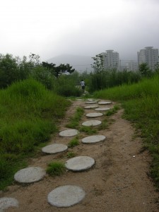 Seoul Iris Garden