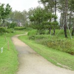 Seoul Iris Garden