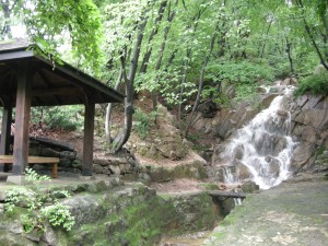Waterfall at Jeongneung Royal Tomb Seoul