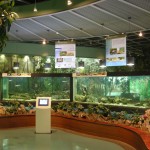 Seodaemun Museum of Natural History (33)
