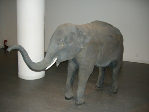 Elephant at Science Museum Korea