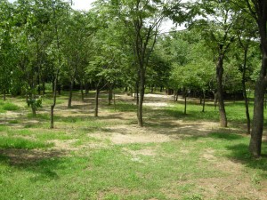 World Cup Park Seoul