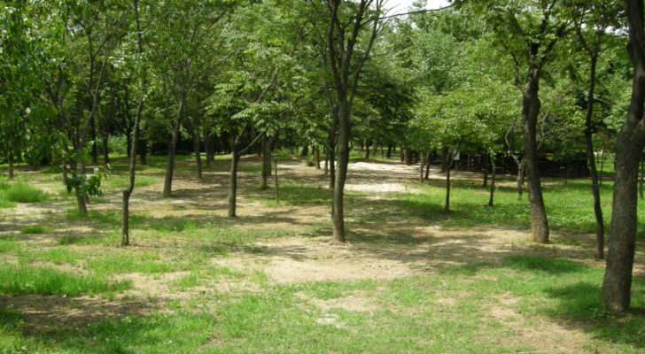 World Cup Park Seoul