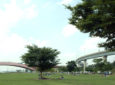 Mangwon Hangang Park