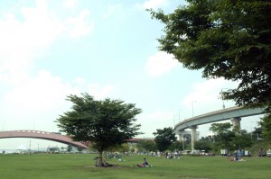 Mangwon Hangang Park