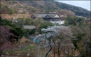 Samcheonggak Cultural Centre and Restaurant
