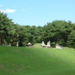 Changneung royal tomb at Seooreung Tombs Korea