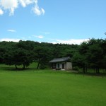 Olleung Royal Tomb