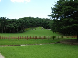 Seooreung Tombs Korea (64)