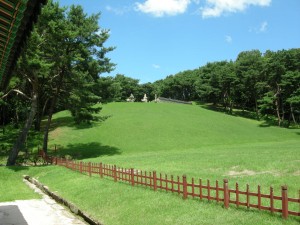 Seooreung Tombs Korea (71)