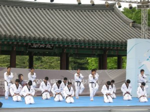 Taekwondo Performance