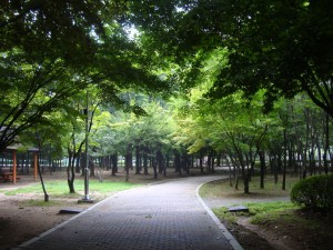 Yangjae Citizen's Forest Seoul