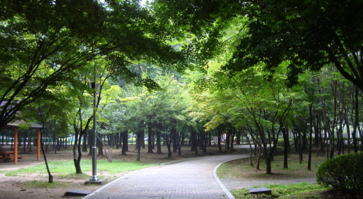 Yangjae Citizen's Forest Seoul