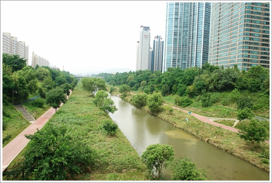 Yangjaecheon Stream