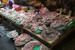 Markets in Busan