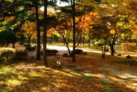 Dosan Park Seoul